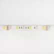Ecolight LED szalag 14,4W/m, 1300lm/m, 60LED/m, RGB-CCT 3000-6500K, 12V, IP20, 5m
