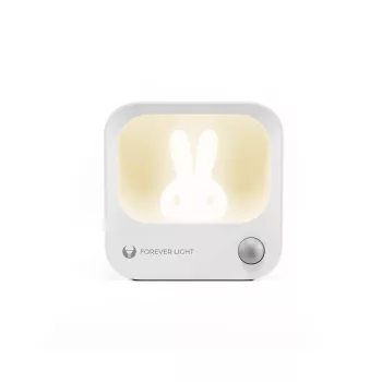   FLC-10 - TelForceOne,Forever Light Éjszakai Fény mozg. érz.,akasztóval,USB-C töltővel,1,1W,3000K,Nyuszi,LEA