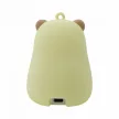 Ecolight LED-es kulcstartó, 2,5W, RGB+3000K, DC 5V 0.5A, 500mAh/3.7V, USB-C, 68x70.4x92.3, Kapibara