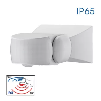 NEXO SR36